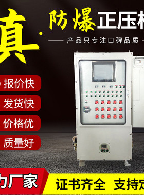 防爆正压柜PXK配电照明动力电源检修箱通风散热快软启动plc控制柜