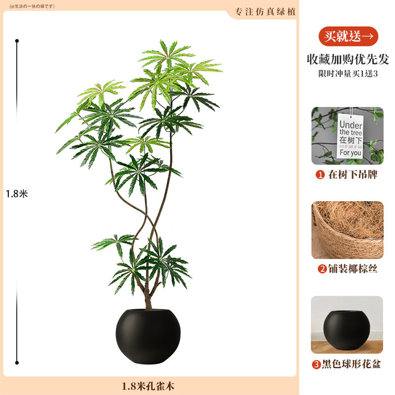 孔雀木仿真绿植室内轻奢客厅仿生假植物高端大型落地盆栽装饰摆件