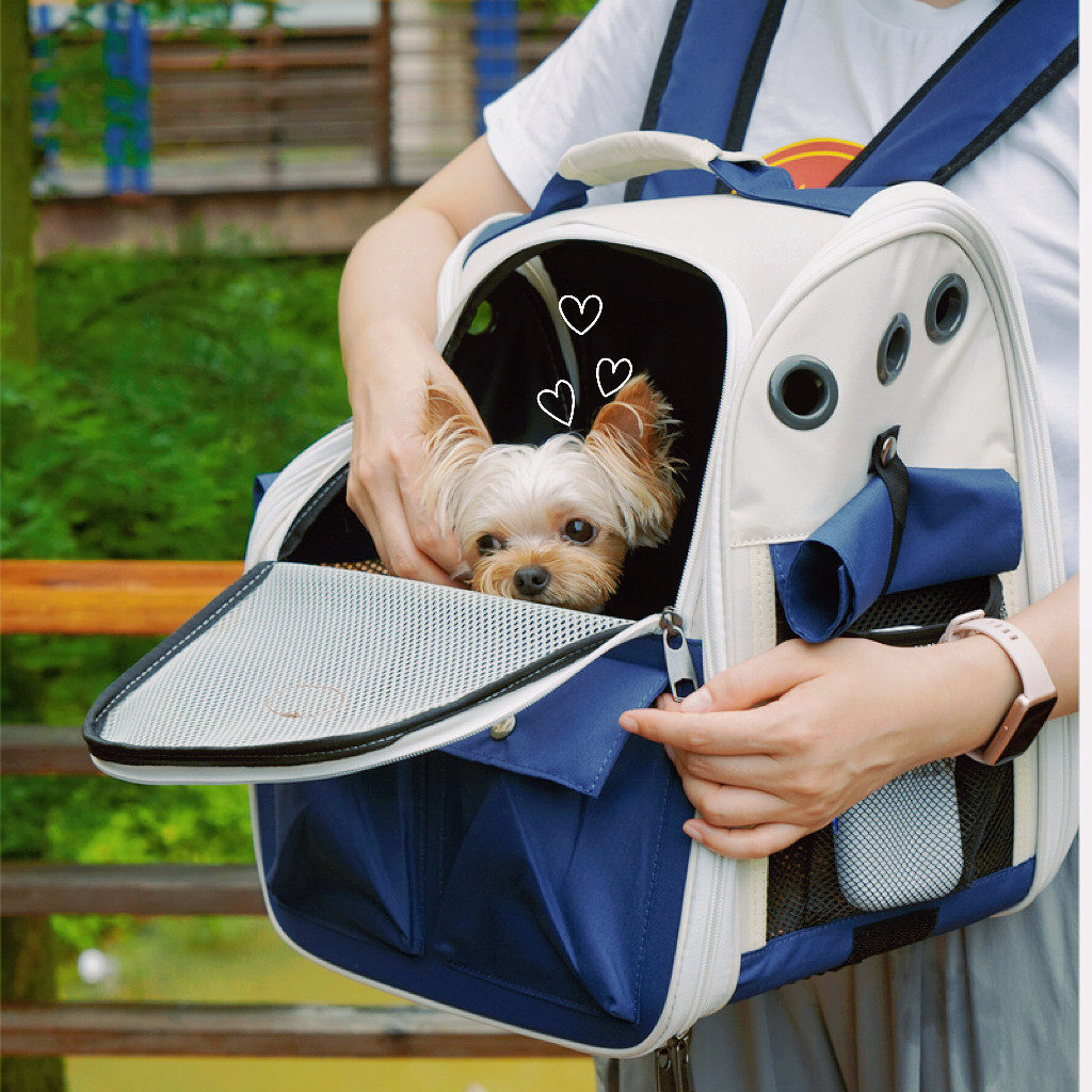 狗狗背包外出包宠物包夏天透气双肩书包携带狗出行袋猫咪外带猫包,宠物/宠物食品及用品,背包/箱包,淘宝优惠券,粉丝福利购,淘宝优惠卷