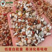 枭龙鸽粮幼鸽a01营养鸽子食赛鸽信鸽观赏鸽鸟食50斤浙江沪皖 包邮