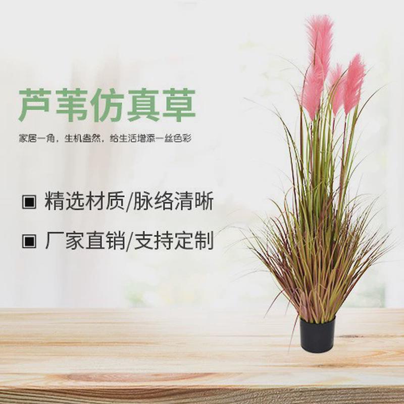 客厅仿真芦苇洋葱草盆栽办公室内北欧植物造景摆件仿真绿植装饰
