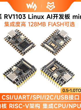 微雪 幸狐RV1103 Luckfox Pico Mini微型Linux AI开发板128MB容量