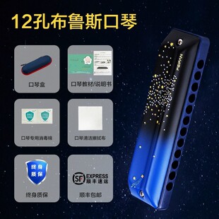 feifan/飞繁12孔阶星空f12全音布鲁斯口琴专业演奏初学者入门口琴