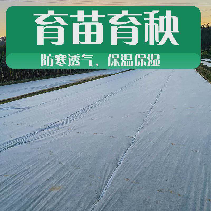 柑橘果园果树防寒布保温膜防水透气防冻育苗农用无纺布膜厂家直销