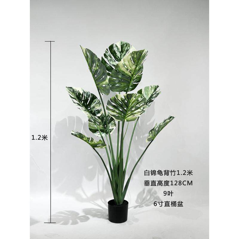 仿真葵树盆栽仿真春仿真芋龟背盆栽仿真绿植盆景仿真植物批发,家居饰品,仿真花/假花,淘宝优惠券,粉丝福利购,淘宝优惠卷