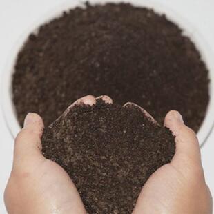 纯干鸡粪鸡粪块块生物鸡屎肥农家肥肥料有机肥种菜养花果树肥