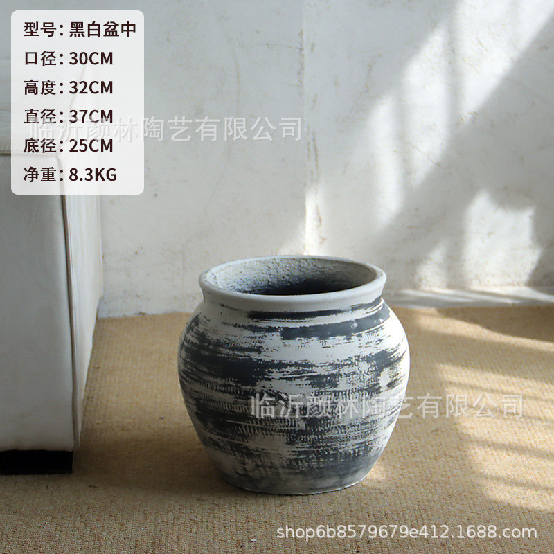复古白水泥大肚花盆龙舌兰蓝楹绿植室内客厅花盆酒店商场大型绿植