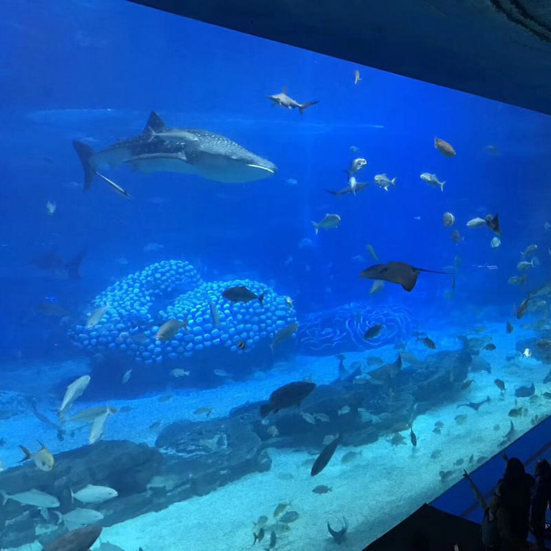 透明亚克力鱼缸制做大型海洋馆生态观赏鱼缸制造海水有机玻璃鱼缸