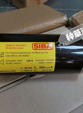 SIBA 德国西霸快熔3001814 250A