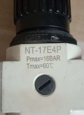 Nt-17E4P