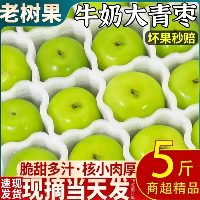 云南版纳牛奶大青枣现摘包邮