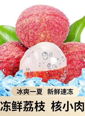 正宗冻眠荔枝顺丰包邮