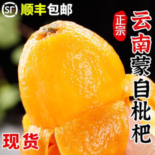 顺丰包邮云南蒙自枇杷鲜果现摘米琵琶易孕妇纯甜水果当季新鲜水果