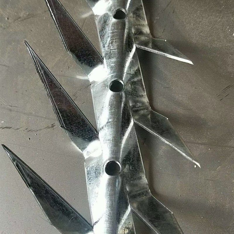 不锈钢防爬刺管道刺防盗刺钉铁丝网小区监狱围墙防攀爬网刀片围栏,个性定制/设计服务/DIY,明信片定制,淘宝优惠券,粉丝福利购,淘宝优惠卷