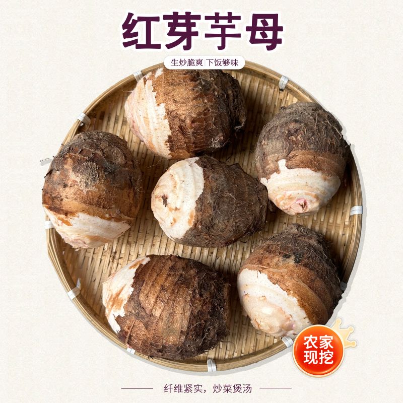 江西上饶正宗芋母芋头娘母芋大个芋头新鲜农家批发嘎嘣脆酸辣芋头