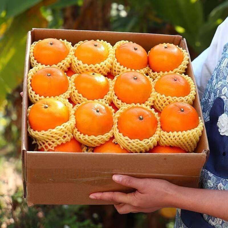 广西武鸣沃柑9斤新鲜水果当季整箱一级桔子沙糖蜜桔时令砂糖橘子,水产肉类/新鲜蔬果/熟食,桔子,淘宝优惠券,粉丝福利购,淘宝优惠卷