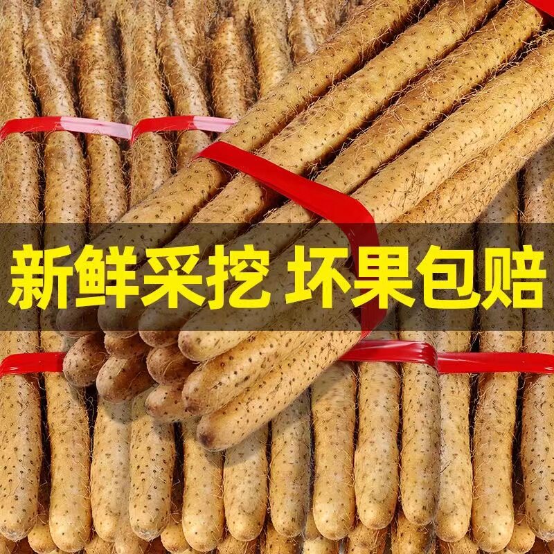 正宗河南焦作温县垆土铁棍