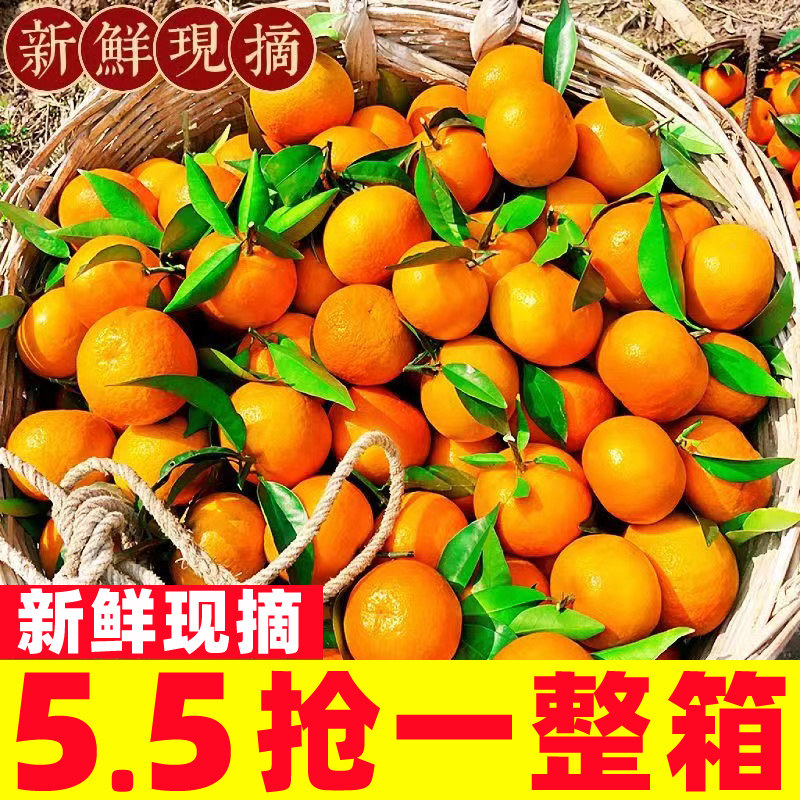 广西武鸣沃柑9斤橘子新鲜水果当季一级沙糖蜜橘砂糖柑橘大果包邮,水产肉类/新鲜蔬果/熟食,桔子,淘宝优惠券,粉丝福利购,淘宝优惠卷