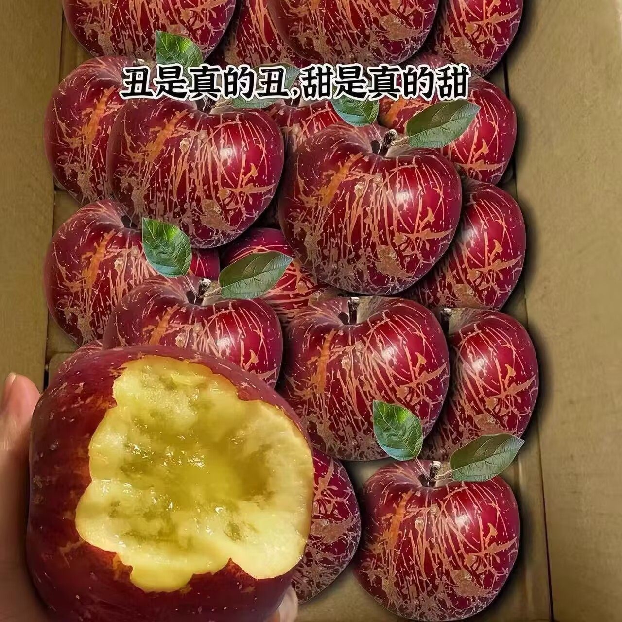 2025正宗大凉山盐源丑苹果冰糖心新鲜现摘当季水果野生苹果,水产肉类/新鲜蔬果/熟食,苹果,淘宝优惠券,粉丝福利购,淘宝优惠卷