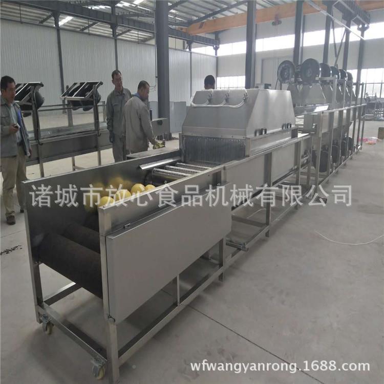 直柚连续式水果打蜡清子洗机 柑橘苹果打蜡机 厂家销水果打蜡机