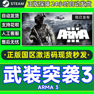 steam 武装突袭3 Arma 3 国区 激活码cdkey 正版游戏 PC