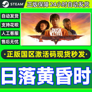 Dusk falls 国区激活码 steam PC中文正版 CDKEY 日落黄昏时