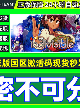 steam 密不可分 Indivisible 国区激活码正版PC游戏 CDKey秒发