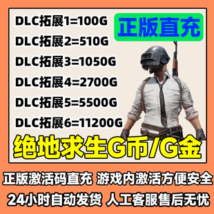 PUBGG币绝地求生CDK兑换码 g币吃鸡G币游戏币皮肤点卷充值
