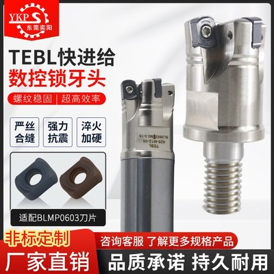 TEBL06d快进给锁牙头双面四角BLMP0603特固克铣刀片高效开粗硬加