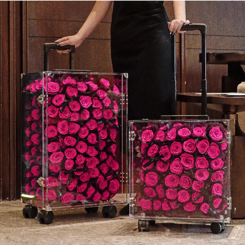 翻盖箱带锁高档拉杆手提行李箱