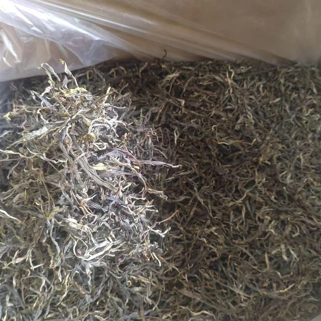 【福利一斤】自家古树散茶500克普洱生茶源头茶农直发每人限购2份