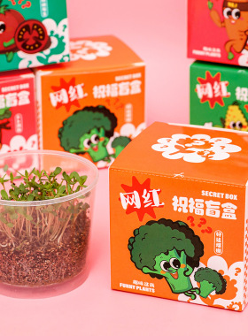 活动奖品儿童种植盆栽小盲盒网红创意绿植小种子幼儿园观察植物小