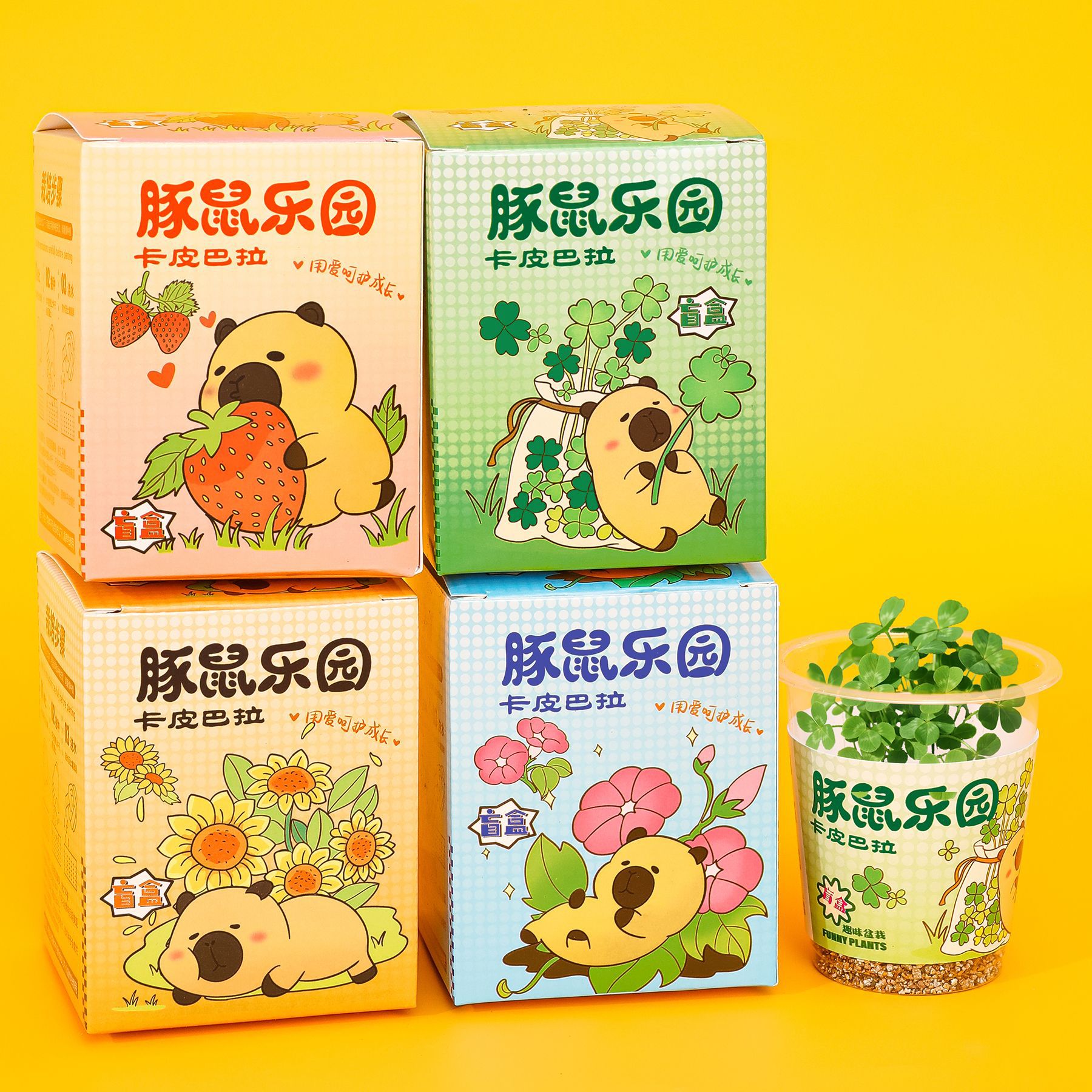 义乌小商品可爱水豚种植盆栽盲盒