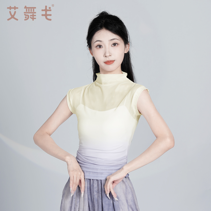 成人古典舞练功服身韵纱衣夏季渐变立领短袖女现代舞形体训练服装