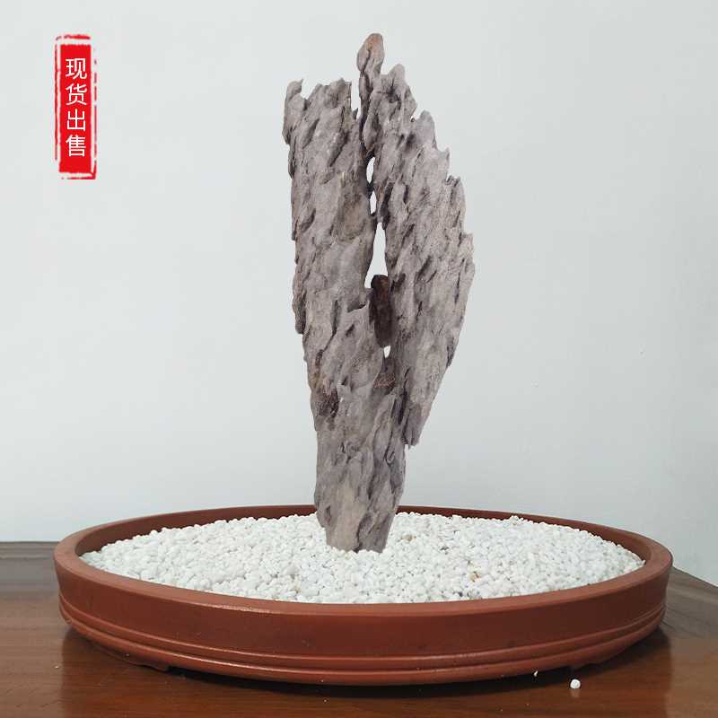 英德石附树石造景长条石盆景天然树抱石绿植花盆鱼缸装饰桌面摆件