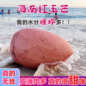 【香甜无丝】海南红玉芒果特大芒果少见稀有高端新鲜水果热带当季