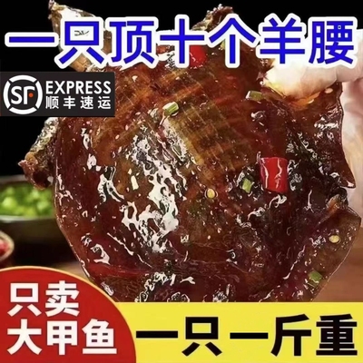 麻辣甲鱼每只净重1斤开袋即食
