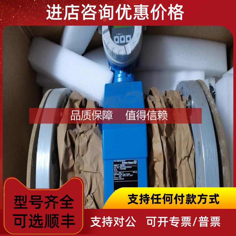 询价E+H Endress+HauserDN250 10P2F-ECOA1AA0A5AA