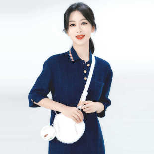 杨紫同款直筒翻领中袖连衣裙女猎毒明星衣服2025春秋季直筒修身