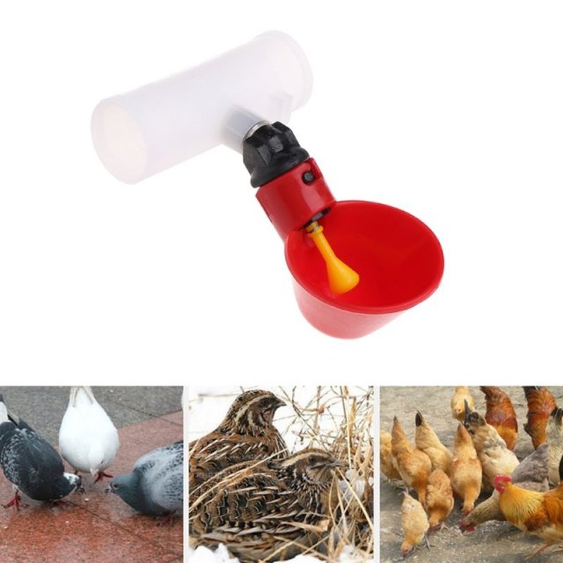 5pcs Poultry Water Drinking Cup Plastic Automatically Drinke