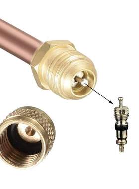 10 pcs Air Conditioner Access Valves Core Cap Core Remover