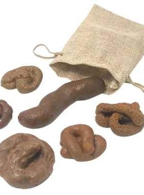 Prank Fake Poop Crap Poo Gross Joke Dirty Trick Disgusting H