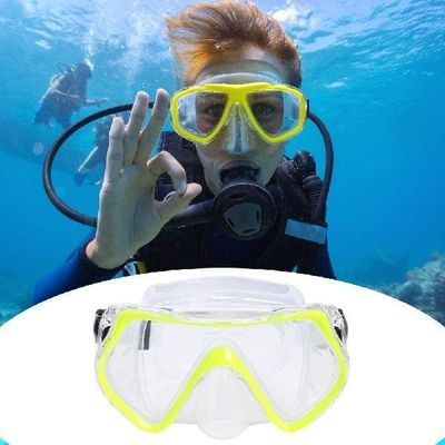 Swimming Goggles Adults HD Anti Fog Electroplate Clear