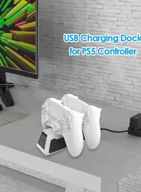 Dual Controller Charger Stand Dustproof Portable Carrying De