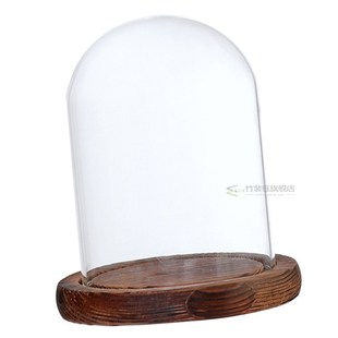 Terrarium Landscape Vase Flower Container Glass Clear Cover