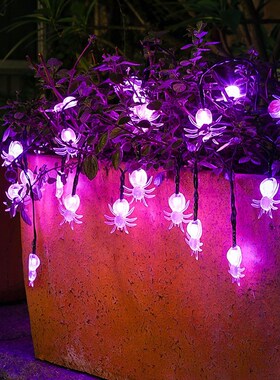 6.5M 30 LED String Lights Solar Garden Lights Purple Lamp Sp