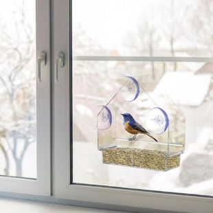 Window Bird Feeder House Shape Transparent Suction Cup