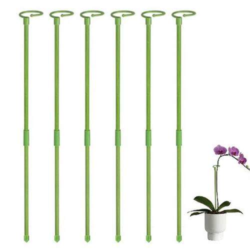 Plant Support Stakes Single Stem Flower Stakes 6Pcs Garden