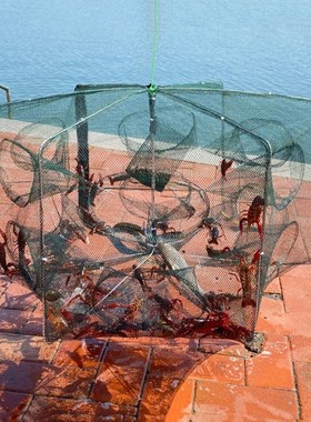 6/8/12/20 Holes Casting Fishing Net Crayfish Catcher Crab Ca