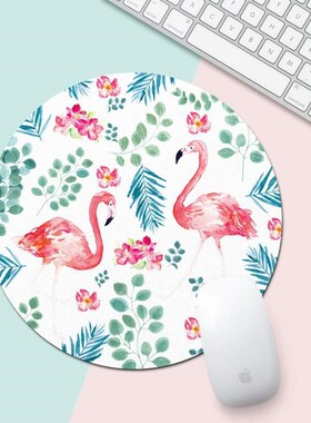 Flamingo Office Desk Mat Office Desk Accessories Set School